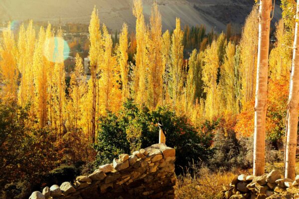 Ultimate Skardu and Hunza Valley