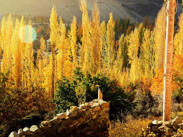 Ultimate Skardu and Hunza Valley