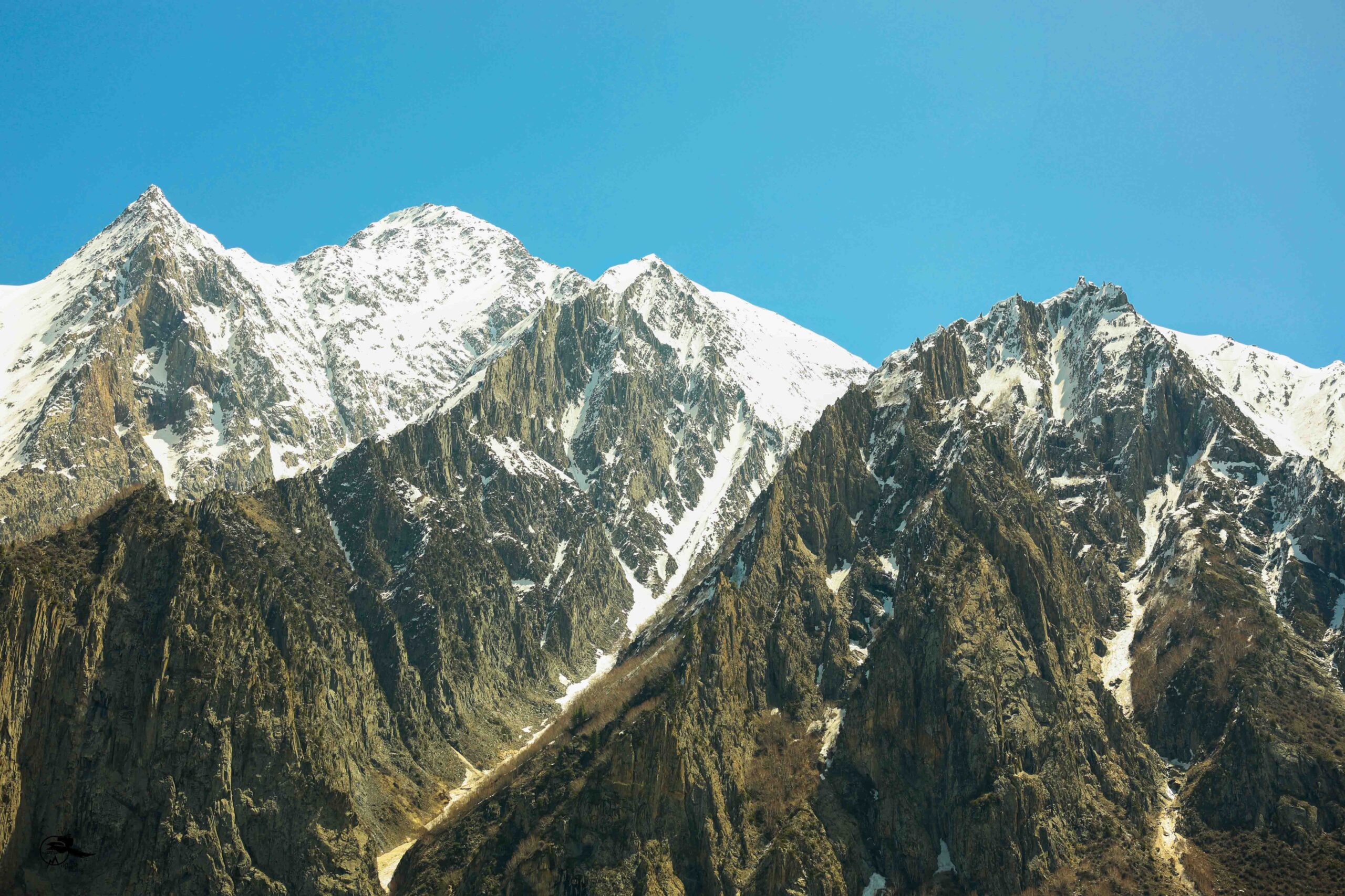 Landscape 4