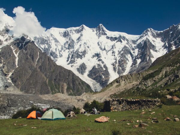Shishper Meadows Trek and Passu Glacier Hike