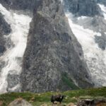 Shishper Meadows Trek and Passu Glacier Hike