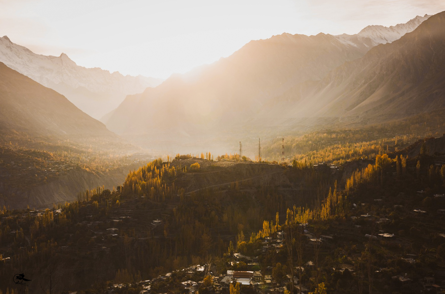 Landscape 1