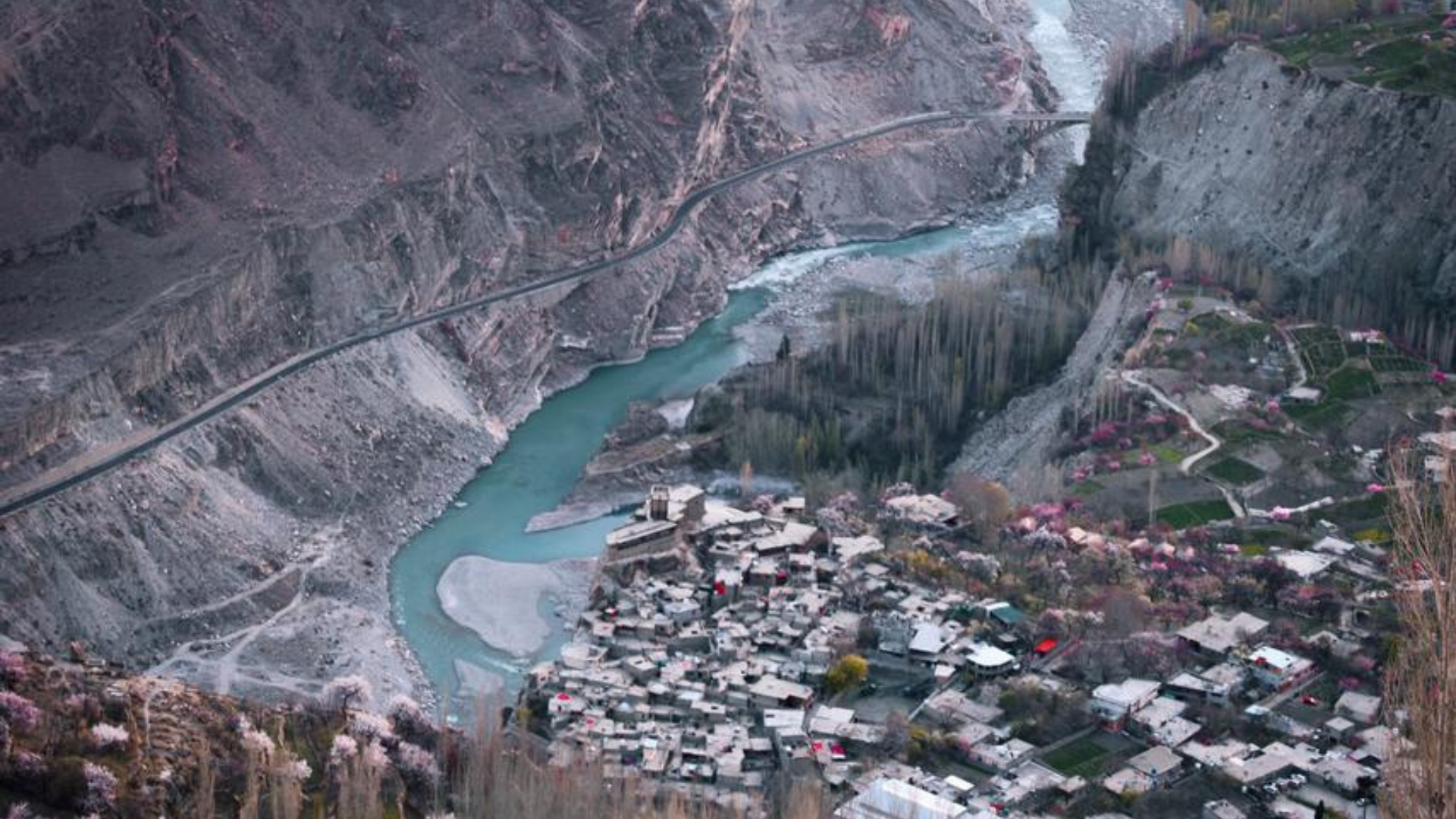 Blossom in Valley